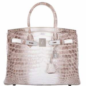 Hermès Birkin 30 Matte Himalayan Niloticus Crocodile with Diamonds & White Gold Hardware